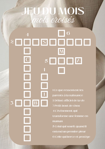 Ebook Pregnancy Journal 🧸